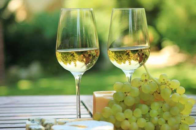 酒说丨红葡萄品种也能酿造白葡萄酒？